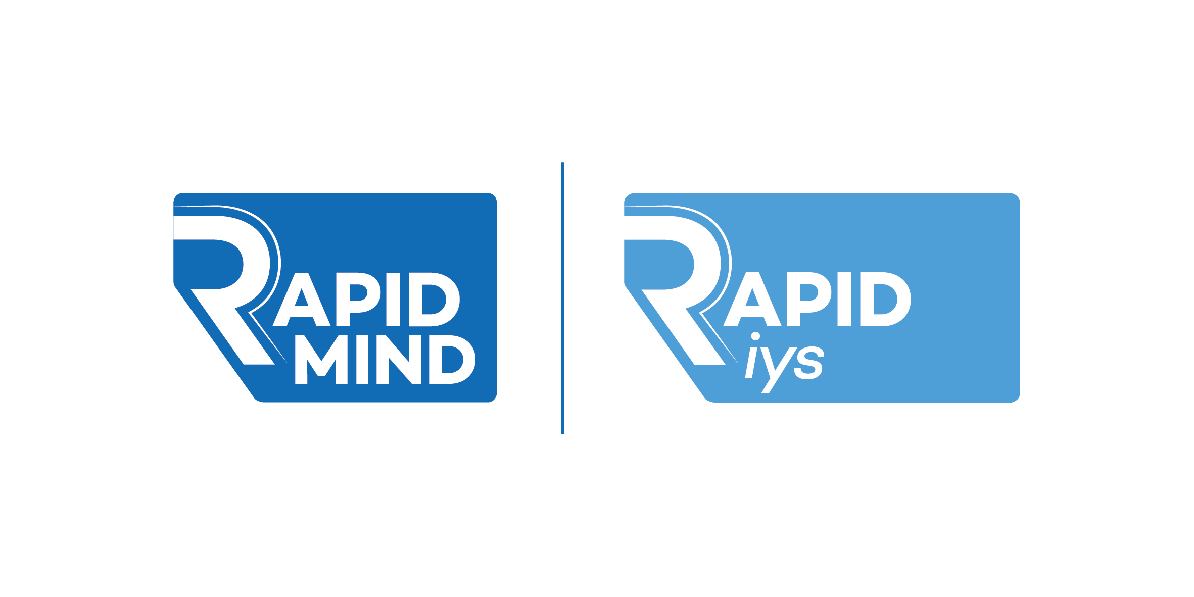 Rapid İYS